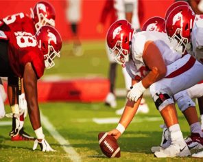 Arkansas Razorbacks Footballers Paint By Numbers