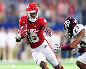 Arkansas Footballer Paint By Numbers