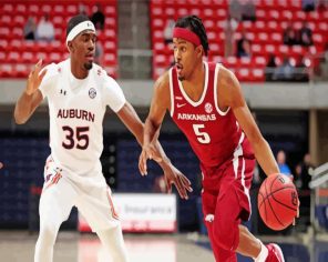 Arkansas Basket Team Paint By Numbers