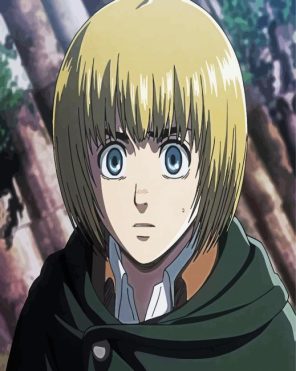 Armin Attack On Titan Paint By Numbers