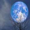 Blue Big Moon Paint By Numbers