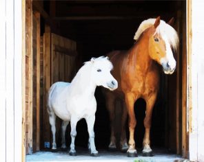 White And Brown Ponies Paint By Numbers