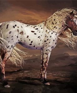 Brown Appaloosa Paint By Numbers