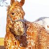 Aesthetic Appaloosa Paint By Numbers