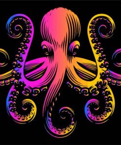 Colorful Squid Paint By Numbers