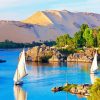 Nile River Paint By Numbers