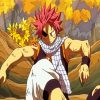 Natsu Dragneel Manga Anime Paint By Numbers