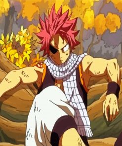 Natsu Dragneel Manga Anime Paint By Numbers