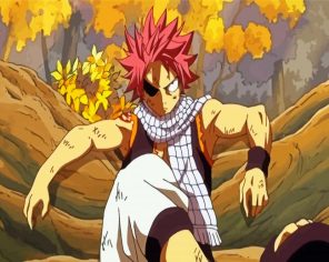 Natsu Dragneel Manga Anime Paint By Numbers