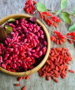 Goji Berries Paint By Numbers