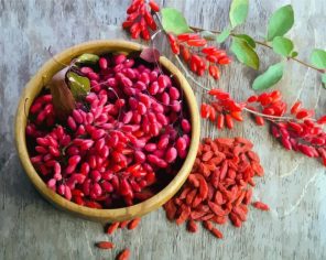 Goji Berries Paint By Numbers