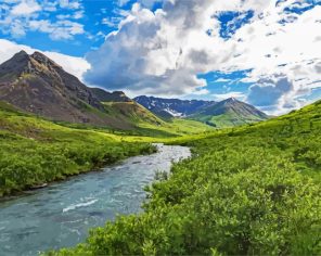 Hatcher Pass Paint By Numbers