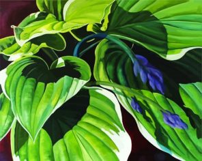 Artistic Hosta Plant Paint By Numbers