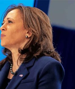 Kamala Vice President Paint By Numbers