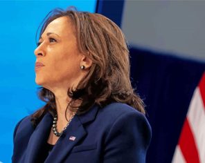 Kamala Vice President Paint By Numbers