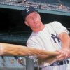 Mickey Mantle Player Paint By Numbers