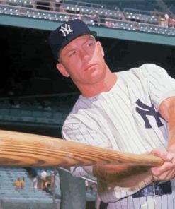 Mickey Mantle Player Paint By Numbers