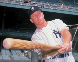 Mickey Mantle Player Paint By Numbers