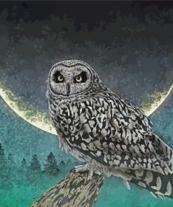 Wild Owl Paint By Numbers