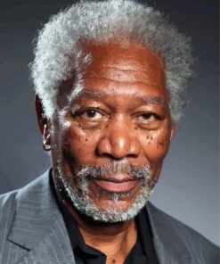 Morgan Freeman Actor Paint By Numbers