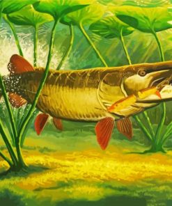 Musky Fish Paint By Numbers