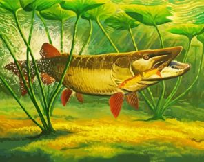 Musky Fish Paint By Numbers