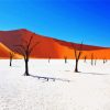 Namibian Sands Paint By Numbers