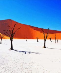 Namibian Sands Paint By Numbers