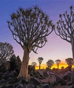 Aloe Trees Paint By Numbers