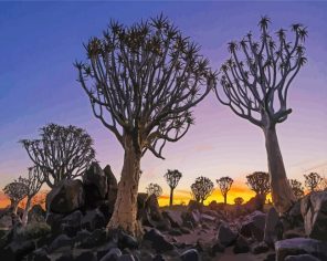 Aloe Trees Paint By Numbers