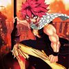 Nastu Dragneel Paint By Numbers