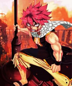 Nastu Dragneel Paint By Numbers