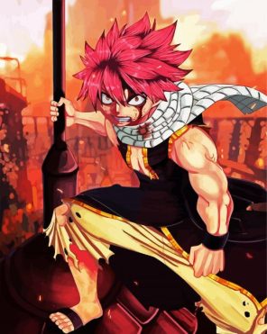 Nastu Dragneel Paint By Numbers