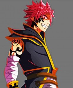 Nastu Dragneel Anime Paint By Numbers