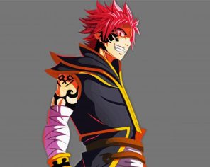 Nastu Dragneel Anime Paint By Numbers