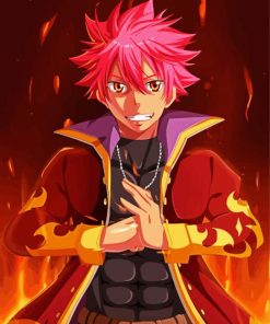 Nastu Dragneel Character Paint By Numbers