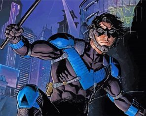 Nightwing Heroes Paint By Numbers