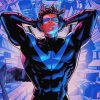 Nightwing Hero Paint By Numbers