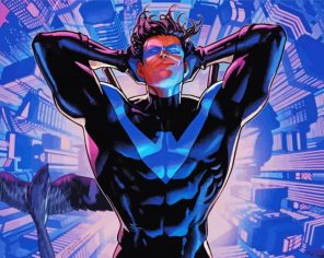 Nightwing Hero Paint By Numbers