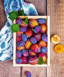 Fresh Fruit Plums Paint By Numbers