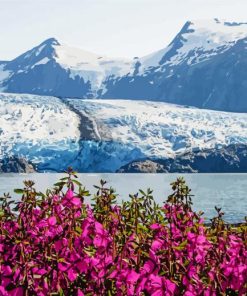 Glacier Alaska Paint By Numbers