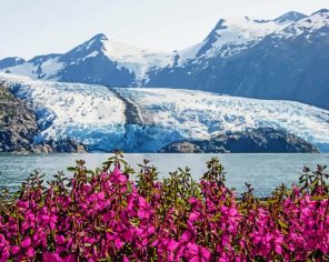 Glacier Alaska Paint By Numbers