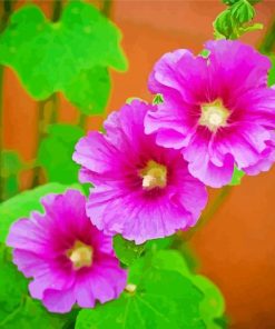 Pink Hollyhocks Paint By Numbers