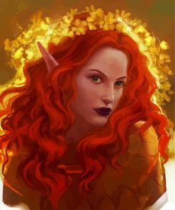 Elf Lady Paint By Numbers