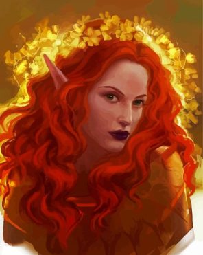 Elf Lady Paint By Numbers