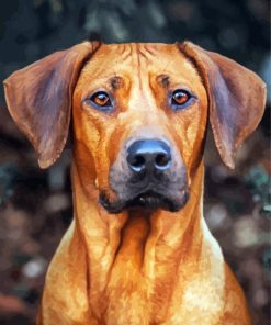 Aesthetic Ridgeback Paint By Numbers