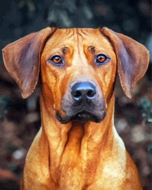 Aesthetic Ridgeback Paint By Numbers