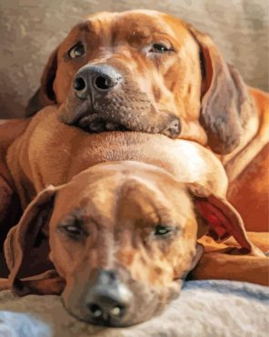 Ridgeback Dogs Paint By Numbers