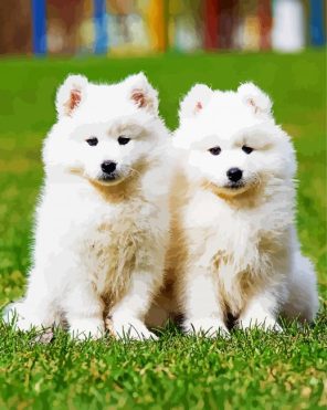 White Puppies Paint By Numbers