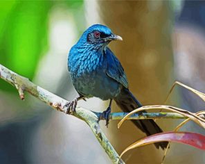 Blue Mockingbird Paint By Numbers